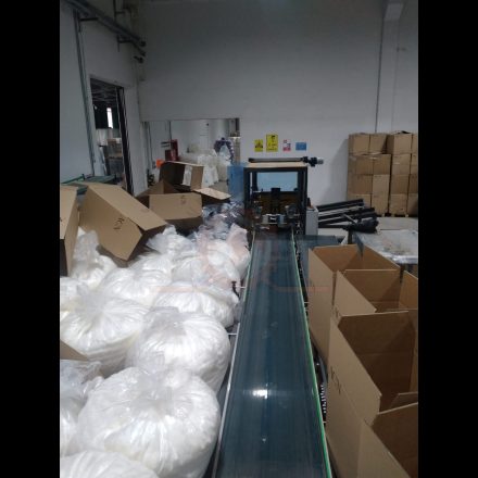 Carton Packing Machine