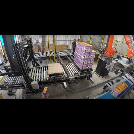 Chain Conveyor